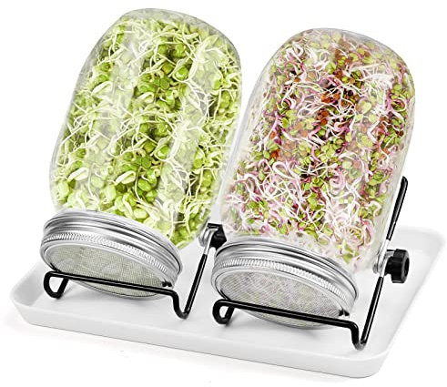 Diealles Shine Sprossen Keimglas, 2 x 950ml Sprossenglas mit 2 Einstellbare Halterung 2 Edelstahlfilter 1 Plastikteller, Sprouting Jar zum Sprossen Züchten Sprossenzucht