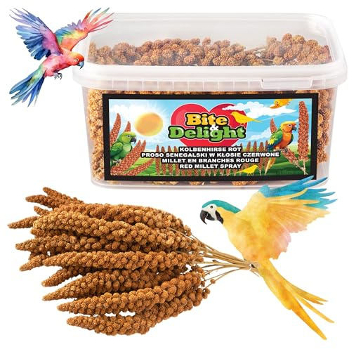 Bite & Delight 1,5kg Kolbenhirse Rot Ganzjähriges Vogelfutter Ziervögel Wellensittiche Naturbelassene Hirsekolben Futter Papageienfutter