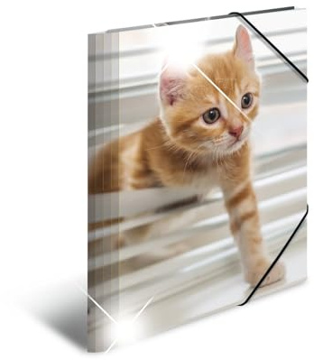 HERMA Sammelmappen A4 Katzen Set, 3 Stück, Kinder Eckspanner-Mappen aus Kunststoff mit Tier Motiv, Hochglanz-Optik, Gummizug, Innenklappen und Innendruck für Jungen und Mädchen