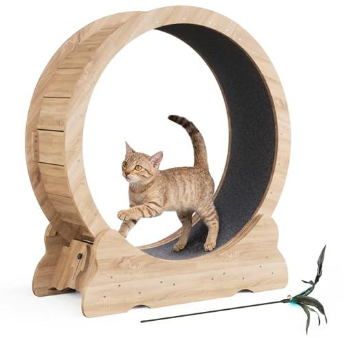 Mondeer Katzenlaufrad für Indoor-Katze, 90cm Laufband mit Abnehmbaren Teppichboden für Katzen Holzlaufrad Laufrad für Kleines Mittel Großes Katze Fitness-Gewichtsverlust-Gerät, Naturholz