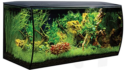Fluval Flex Aquarium 123L, Süßwasser Aquarium, schwarz