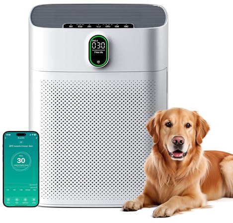 MERONTE Luftreiniger für Zuhause & Raucherräume, Allergikerfreundlich, HEPA Filter Gegen Staub Pollen, CADR 300 m³/h für 100 m², 24 dB Leise, Timer, Luftqualitäts-Feedback & Automodus, 1 Pack + 3 Modi