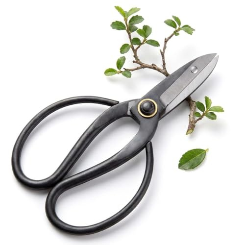 Scharfe Bonsai Schere aus Stahl - Traditionelles Bonsai Werkzeug für eine professionelle Bonsai-Zucht - ideal für Knospen, Blätter & Äste