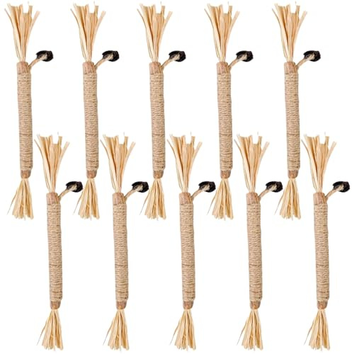 Katzenminze Sticks für Katzen,10pc Matatabi Katze Kauspielzeug,Matatabi Stick Katze Sticks, Kausticks als Katzenspielzeug, Kauholz Catnip