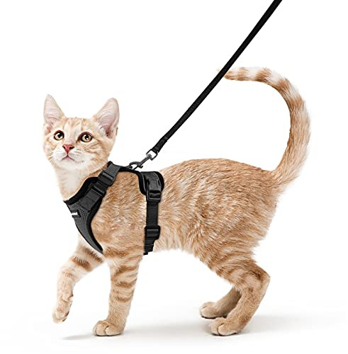 rabbitgoo katzengeschirr mit Leine ausbruchsicher für Katzen Verstellbares Brustgeschirr Reflektierendes ausbruchsicher Softgeschirr mit katzenleine Weich und Bequem für Kätzchen, Schwarz, XS