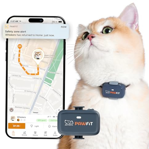 Pawfit Lite für Katzen 4G GPS Tracker | Echtzeit-Ortung | Aktivitätsüberwachung | Standortverlauf | Unbegrenzte Reichweite | Sicherheitshalsband inklusive | Kohlegrau