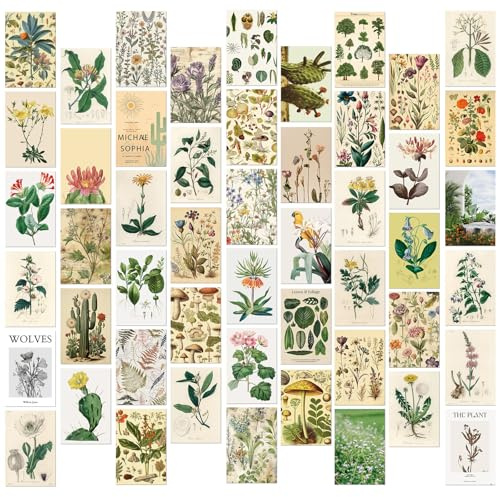 PORUPAEL 50 Stück Vintage Botanische Postkarten Set Blumen Poster Karten Wanddekoration Schlafzimmer Karten Dekoration Aesthetic Mini Poster (A)