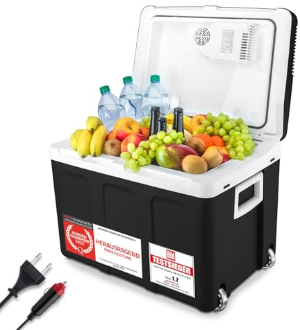 TZS First Austria - Kühlbox 45L elektrisch 12V 230V Anschluss für Auto & Steckdose - Thermoelektrische Cool Box kühlt & wärmt - Mini Kühlschrank mit Rollen - Für Camping, Festivals, Reisen - Schwarz