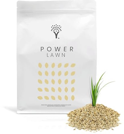 MOOWY Power Lawn Rasensamen Schnellkeimend 50m² - Merhjährige und Strapazierfähige Sport und Spiel Rasensaat mit Biostimulanz-Beschichtung für 38% mehr Keimung - Ideal als Rasenreparatur Grassamen