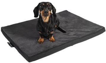 MyBestBuddy Hundekissen Premium orthopädisch mit 3 cm Vollschaum-Kern grau 70x50 cm M, Hundematte mit Stoffbezug, 40°C waschbar, allergikerfreundlich - Hundebett für kleine Hunde, 70 x 50 cm