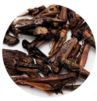Warnick´s Tierfutterservice Grashüpfer, Heuschrecken, Grillen, Futterinsekten getrocknet (1.000ml)