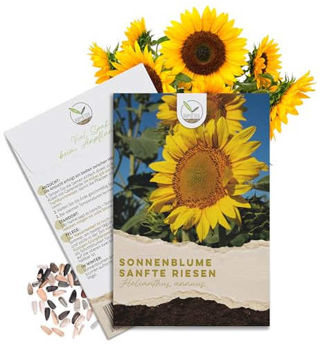 Farbenfrohe Sonnenblumen Samen mit hoher Keimrate - Blumensamen für einen bunten & bienenfreundlichen Garten (20 Korn Sanfte Riesen, bis zu 3 Meter hoch!)