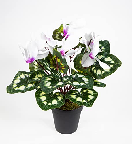Seidenblumen Roß Alpenveilchen 36cm weiß-lila im Topf ZF künstliche Blumen Kunstpflanzen Kunstblumen Cyclamen