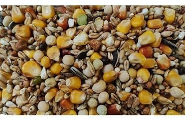 Eurital Taubenfutter für alle Rassen 10 kg