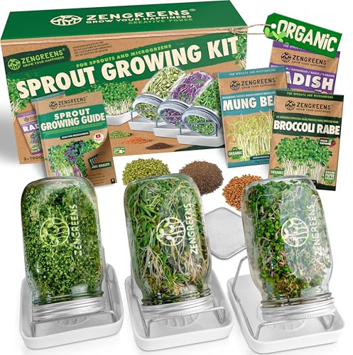 zengreens® Bio Sprossen Anzuchtset – Sprossenglas 1er, 2er oder 3er Set – Enthält Keimglas, Anzuchtschale und Sprossensamen – inkl. 50-seitigem Ratgeber und 10-teiligem Online Videokurs