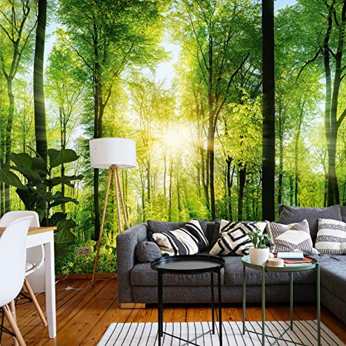 murimage® Fototapete Wald 3D 366 x 254 cm inklusive Kleister Tapete Bäume Wohnzimmer Küche Schlafzimmer