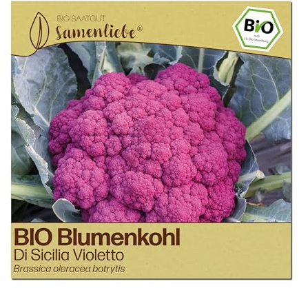 Samenliebe BIO Blumenkohl Samen | Di Sicilia Violetto - italienisch & violett - samenfestes BIO Saatgut