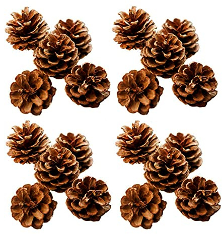 Ashuxxn 48 Stück Weihnachten Tannenzapfen Dekoration Natürliche Tannenzapfen Natürliche Anzapfen mit Schnur Kiefernzapfen Tannenzapfen mit Schnur Ornamente für Weihnachten Party Hängende (Holzfarbe)