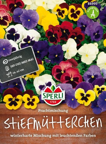 Stiefmütterchen Prachtmischung
