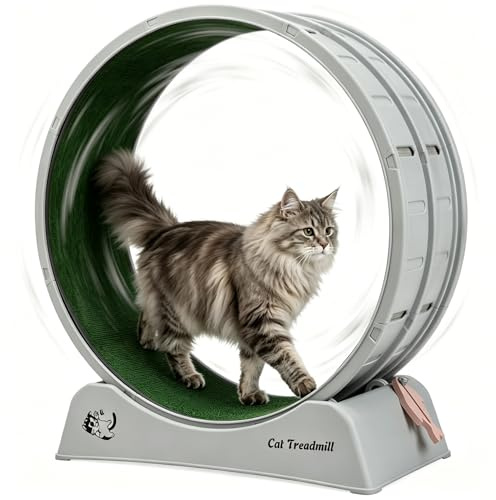 furpal Katzenlaufrad XXL 80 cm für große Katzen, Leise Katzen-Treadmill mit Stabiler Standbasis & Verriegelung, Laufband rutschfest Teppichboden, Fitness-Trainingsrad für Wohnungskatzen