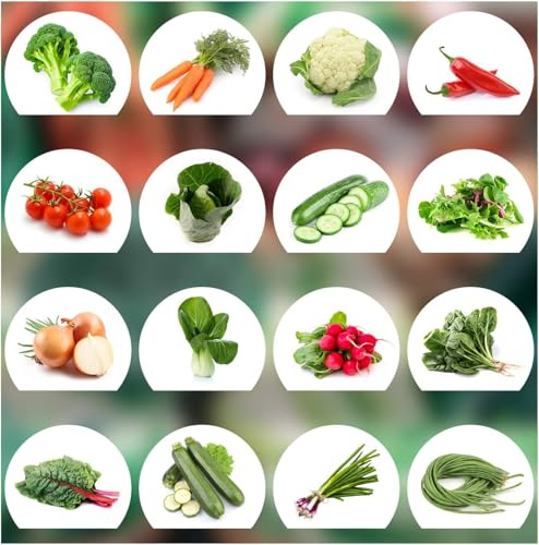 Prademir – Gemüsesamen Set aus 16 Sorten Premium Gemüse Samen – Gemüse Anzuchtset mit 100% Natursamen aus Portugal – Gemüse Saatgut aus Gurke, Brokkoli, Karotte, Blumenkohl, Chili, Tomate, Salat uvm.