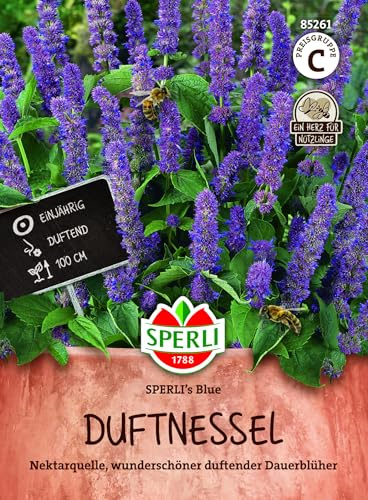 Sperli Duftnesselsamen SPERLI's Blue 85261 - einjährige Nützlingspflanze mit blau-violetten Blütenähren, bienenfreundlich, blumensamen für Beet & Rabatten, hohe Keimrate, ideal für blumenwiese