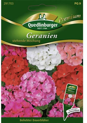 Geranien, stehende Mischung