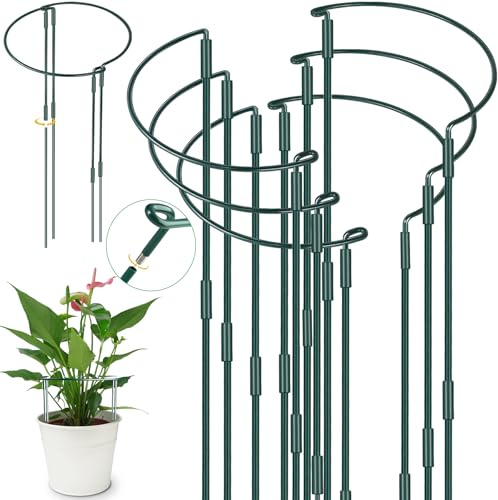 YeahBoom 6 Stück Pflanzenstützen Halbrund Pflanzenstütze Ringkäfige,60x25cm Pflanzenringe Rund,Pflanzenhalter Metall,Staudenhalter,Pflanzenstütze für Topfpflanzen, Tomaten, Gemüse, Rose, Pfingstrose