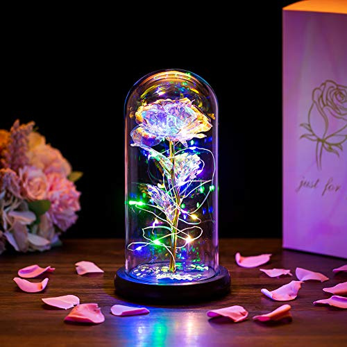 Glasseam Die Schöne Und Das Biest Rose In Glaskuppel LED-Lichter Kristallrose Blumen Geschenk Zum Geburtstag Jubiläum Valentinstag Hochzeit Freundin Frau Frauen