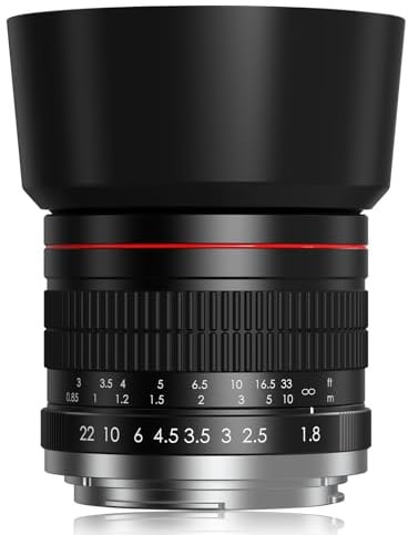Lightdow F 85mm F1.8 Manuelles Objektiv, für Nikon F Mount Porträtobjektiv, Vollformat und APS-C, Leichtes, Festbrennweite für Nikkon D7500, D5100, D3200, D850, D810, D750, D610, D500, D60, D6, D5, D4