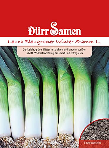 Dürr-Samen - Lauch Blaugrüner Winter Stamm L. Saatgut