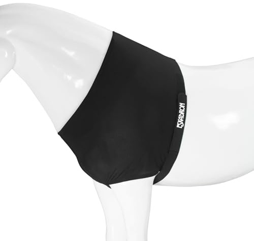 BASIC Brustschutz BRUSTSCHUTZ