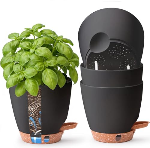T4U 15cm 4er Set Selbstbewässernder Kräutertopf für Fensterbank & Küche – Basilikum, Petersilie, Schnittlauch u. v. m. – für Vielbeschäftigte & Anfänger – Innen & Außen (Schwarz)