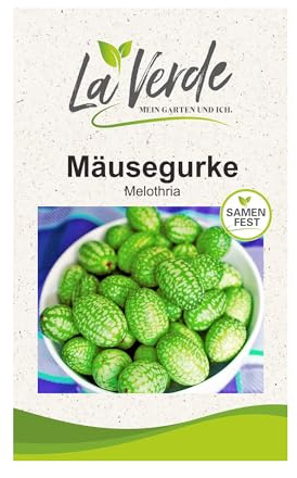 La Verde MEIN GARTEN UND ICH. Mäusegurke Samen für ca. 20 Pflanzen, exotische Klettergurke, erfrischend und vielseitig, Saatgut ohne Gentechnik
