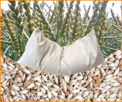 Bio Dinkelkissen 40 x 60 cm mit Inlett aus 100% Bio-Baumwolle