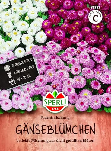 Sperli Gänseblümchensamen Prachtmischung 85381 - mehrfarbige zweijährige Frühlingsblumen, Blumensamen, mehrjährig & winterhart, bienenfreundlich, hohe Keimrate, ideal für Beete & Einfassungen
