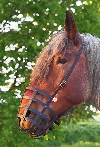 Heavy Horse Parts Fressbremse Strong Standardgröße mit Kehlriemen und Verstärkter Bodenplatte