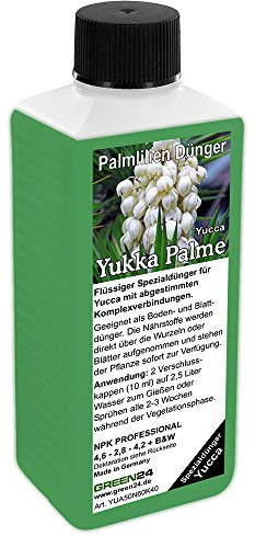 Yukkapalmen Dünger Yucca düngen Palmlilien, Premium Flüssigdünger aus der Profi Linie