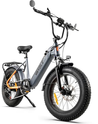 VAKOLE SG20 E-Bike Herren 20x4.0 Zoll Elektrofahrräder mit 48V 14,4Ah Akku, 250W Motor & 25km/h, Reichweite bis zu 110km, für Pendler, Stadt & Gelände
