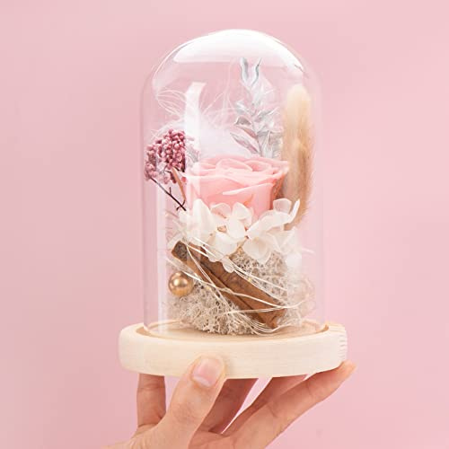 AOKKR Ewige Rose im Glas, Echte Rosen Konserviert mit LED, Infinity Rose für Mädchen, Exquisite Rosen-Geschenkboxeignet eignet Sich für Valentinstag, Hochzeit, Muttertag, Geburtstag, Rosa Blumen