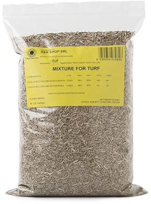 R&R SHOP – Samen für widerstandsfähigen Rasen, Weidelgras, schnell wachsend und begehbar, geeignet für alle Geländearten (500gr - 20mq)
