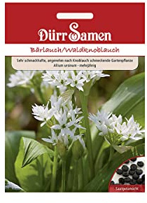 Dürr-Samen - Bärlauch/Waldknoblauch Saatgut