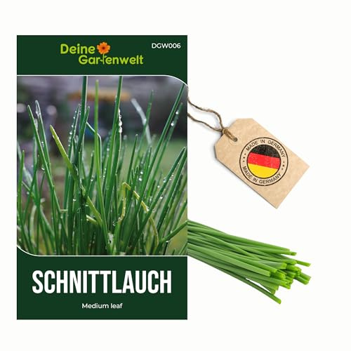 Schnittlauch Samen Medium Leaf – Schnittlauchsamen Allium schoenoprasum – Premium Kräutersamen für ca. 300 Pflanzen - Schnittlauch Saatgut
