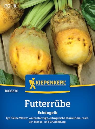 Kiepenkerl Futterrübensamen Eckdogelb 1006230, Gemüsesaat | Walzenförmige, ertragreiche Runkelrübe mit Masse und Grünbildung