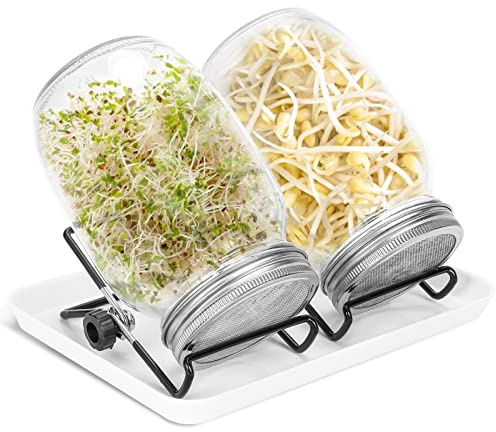 Lospitch Sprossenglas Keimglas, 2er Set Sprossenglas mit Deckel & Sieb, 950ML Kapazität 2 Einstellbare Halterung 1 Weiß Drip Tray, Sprossen Keimgerät für Alfalfa Kresse Brokkoli Mungobohnen