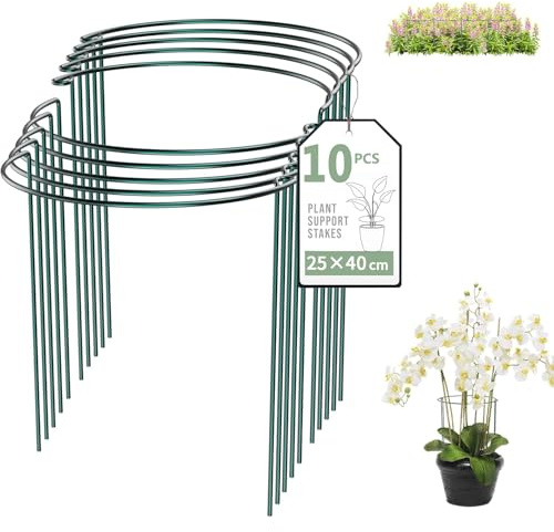 10 Stück Pflanzenstütz pfahl (25 * 40cm), Garten Blumenstütze Strauchstütze Metall Garden Halbrund Stützring käfighalter Rankhilfe Klettergitter für Tomaten Gemüse Blumen Pflanzenanbau Grenzstütze