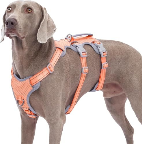 Huntboo Sicherheitsgeschirr Hund Ausbruchsicher,Sicheres Hundegeschirr No Escape,Reflektierendes Geschirr mit Gepolstertem Griff,Verstellbare Weste für Große Hund,die Spazieren Gehen(Orange,L)