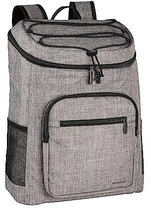 Amazon Basics Reusable Insulated Soft Cooler Backpack, 30 Can Capacity, Gray