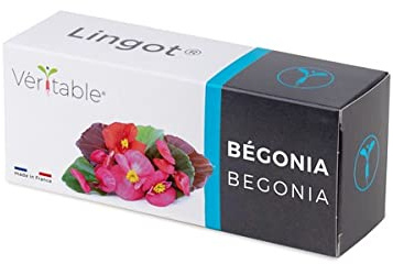 Lingot® Begonie – kompatibel mit echten Indoor-Gemüsebeeten und Exky® – gebrauchsfertige Nachfüllpackung – Substrat mit integrierten Samen..