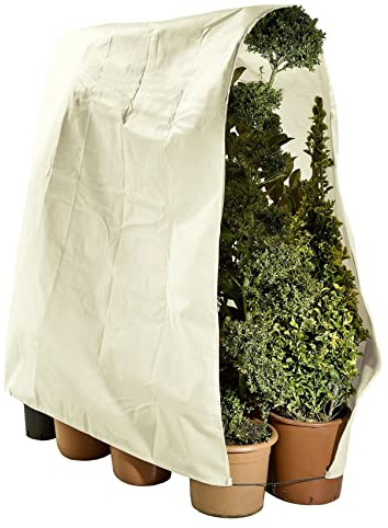 Maximex Pflanzenschutz Vlies 240 x 200 cm - Aus lichtdurchlässigem, wasserabweisendem Vlies, Polypropylen, 240 x 200 cm, Beige